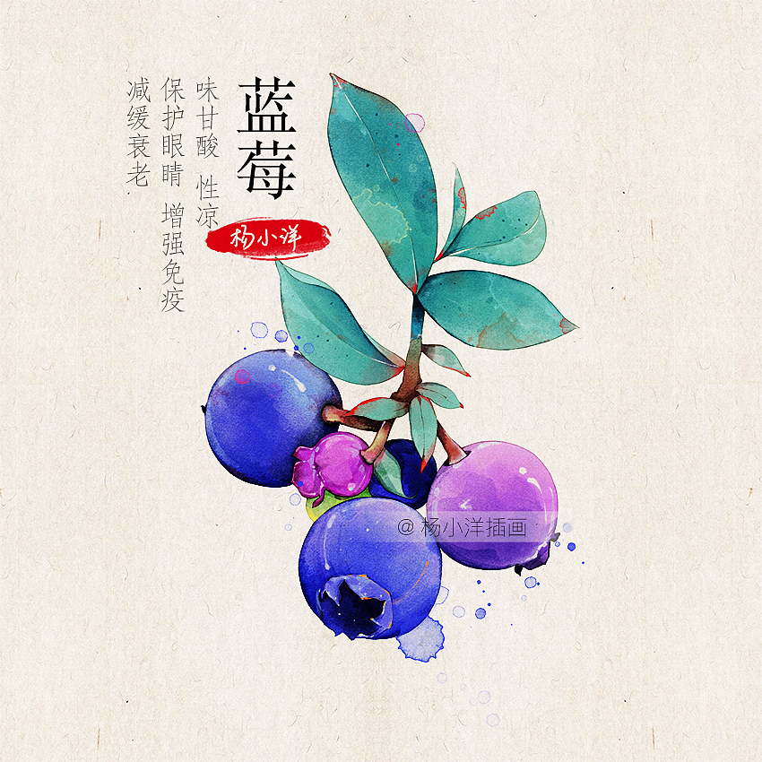 边走边画 | 果实（图ZMTMxODk3NTQ0） - 创作习作 - 站酷设计师杨小洋插画原创素材 - 站酷ZCOOL