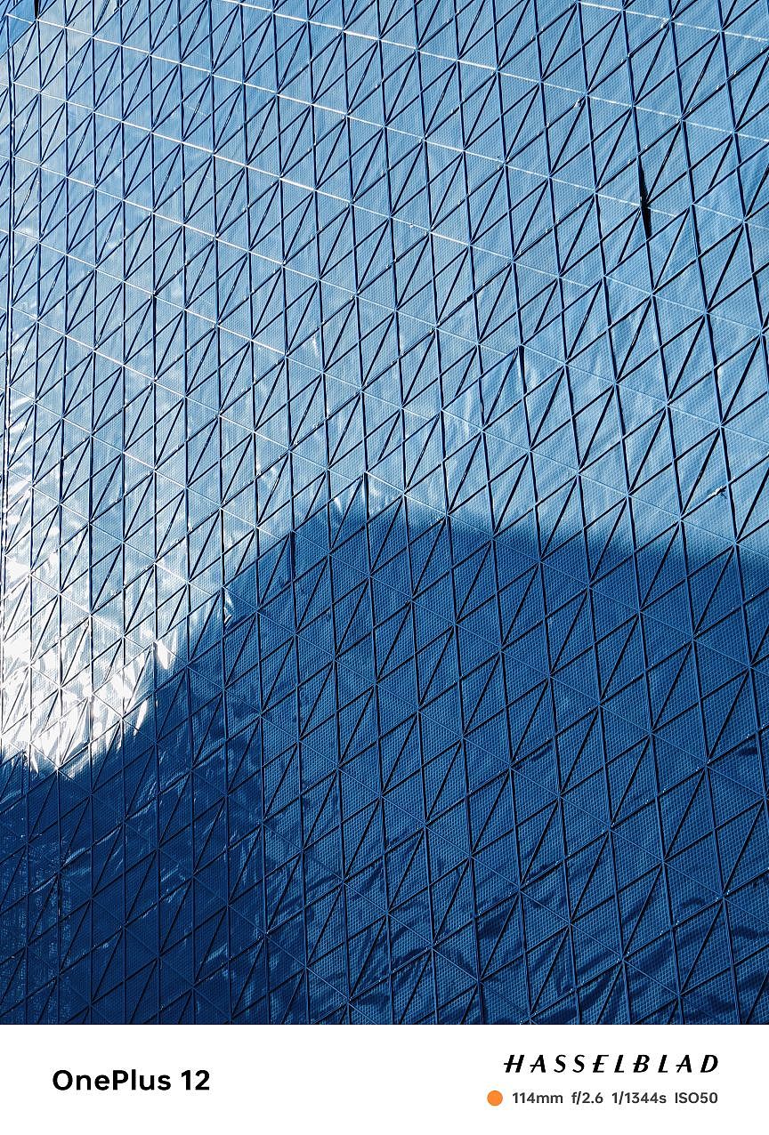 青岛真的是一个特别浪漫的城市