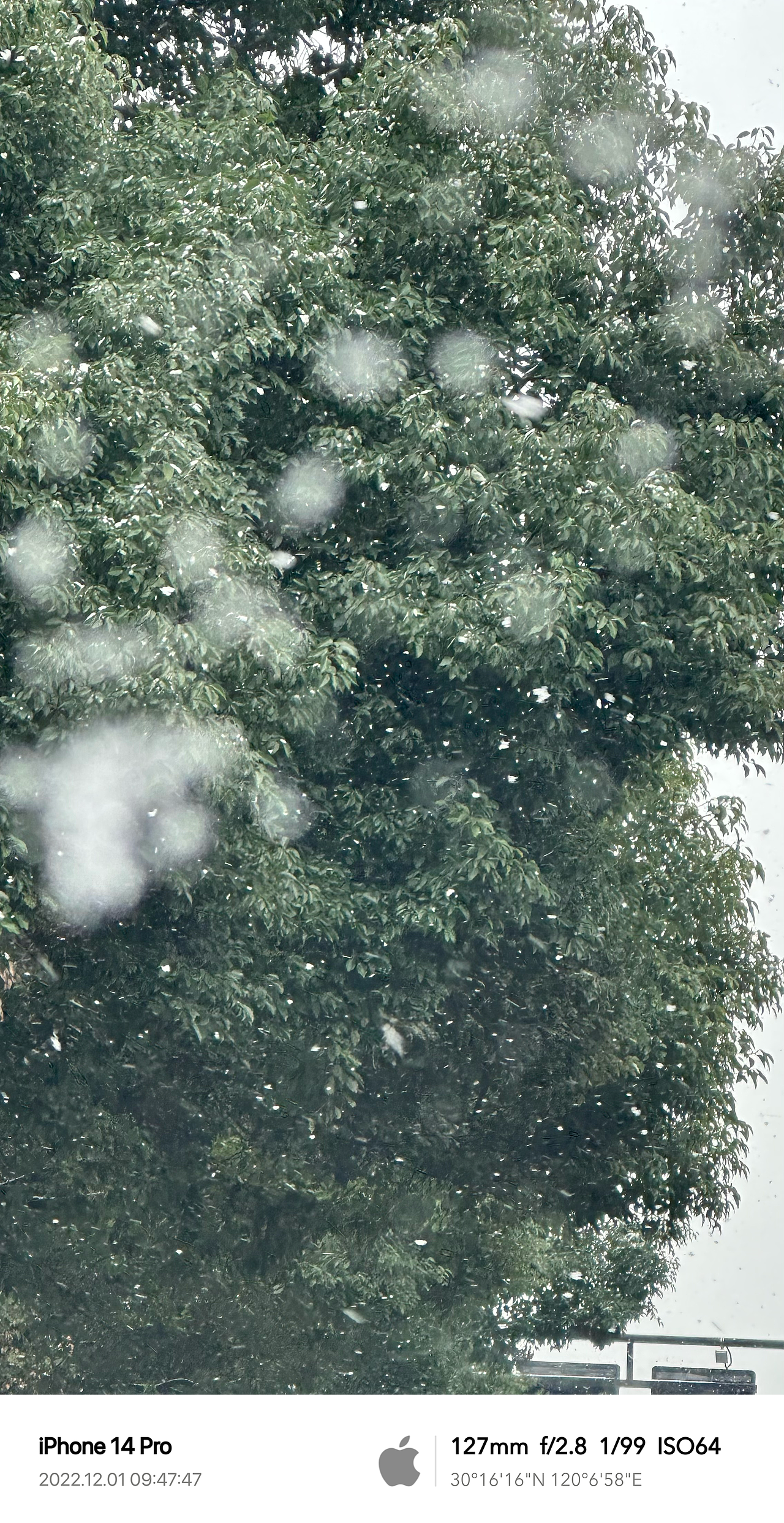 Clint手机摄影/生活观察2022Q4（图ZMzQ1ODI5NDg4） - 人文/纪实摄影 - 站酷设计师Clint克林原创素材 - 站酷ZCOOL