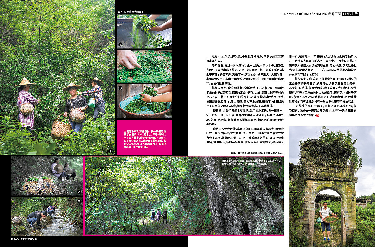 《时代三明》杂志-三明的粮-封面图片：丰饶音山（图ZOTc3MTU0OTI=） - 书籍/画册 - 站酷设计师郑源华原创素材 - 站酷ZCOOL