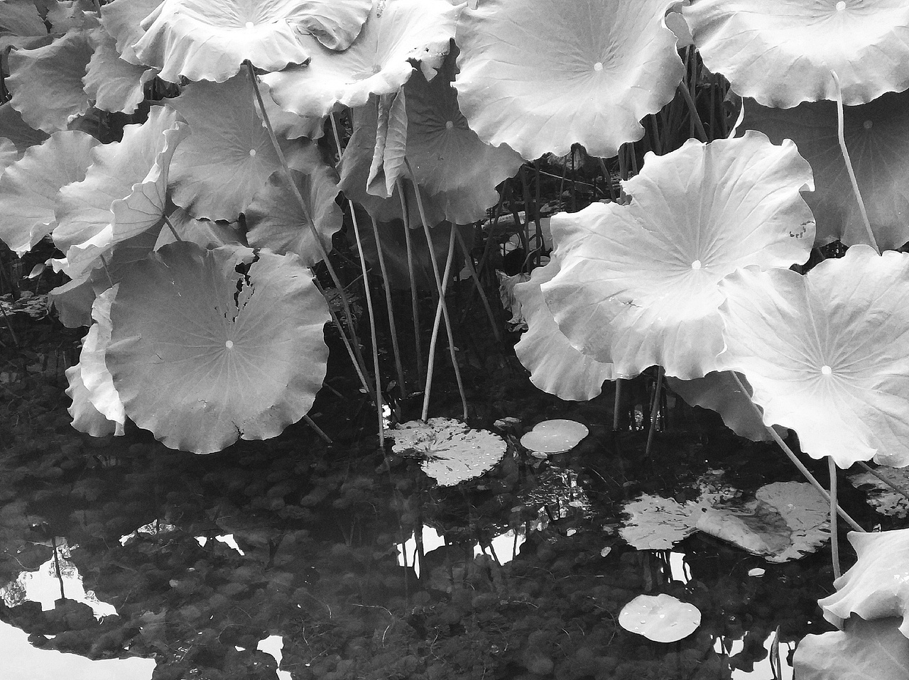 色彩的创作-练习