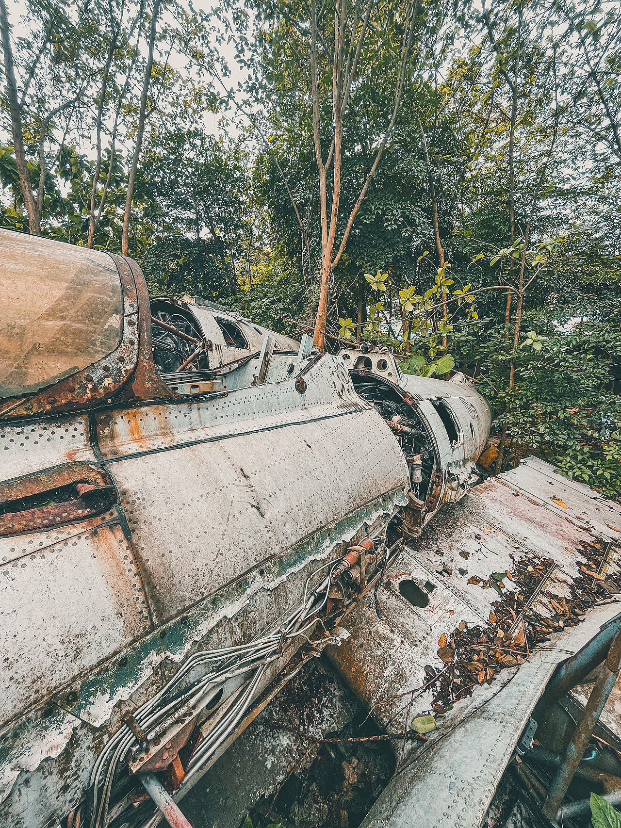 遗落的雄鹰（图ZMjc1MTU2ODg4） - 人文/纪实摄影 - 站酷设计师艾瑞KING原创素材 - 站酷ZCOOL