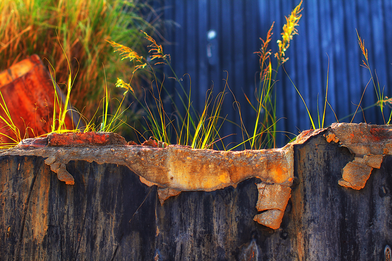 2014深圳香港城市建筑双年展