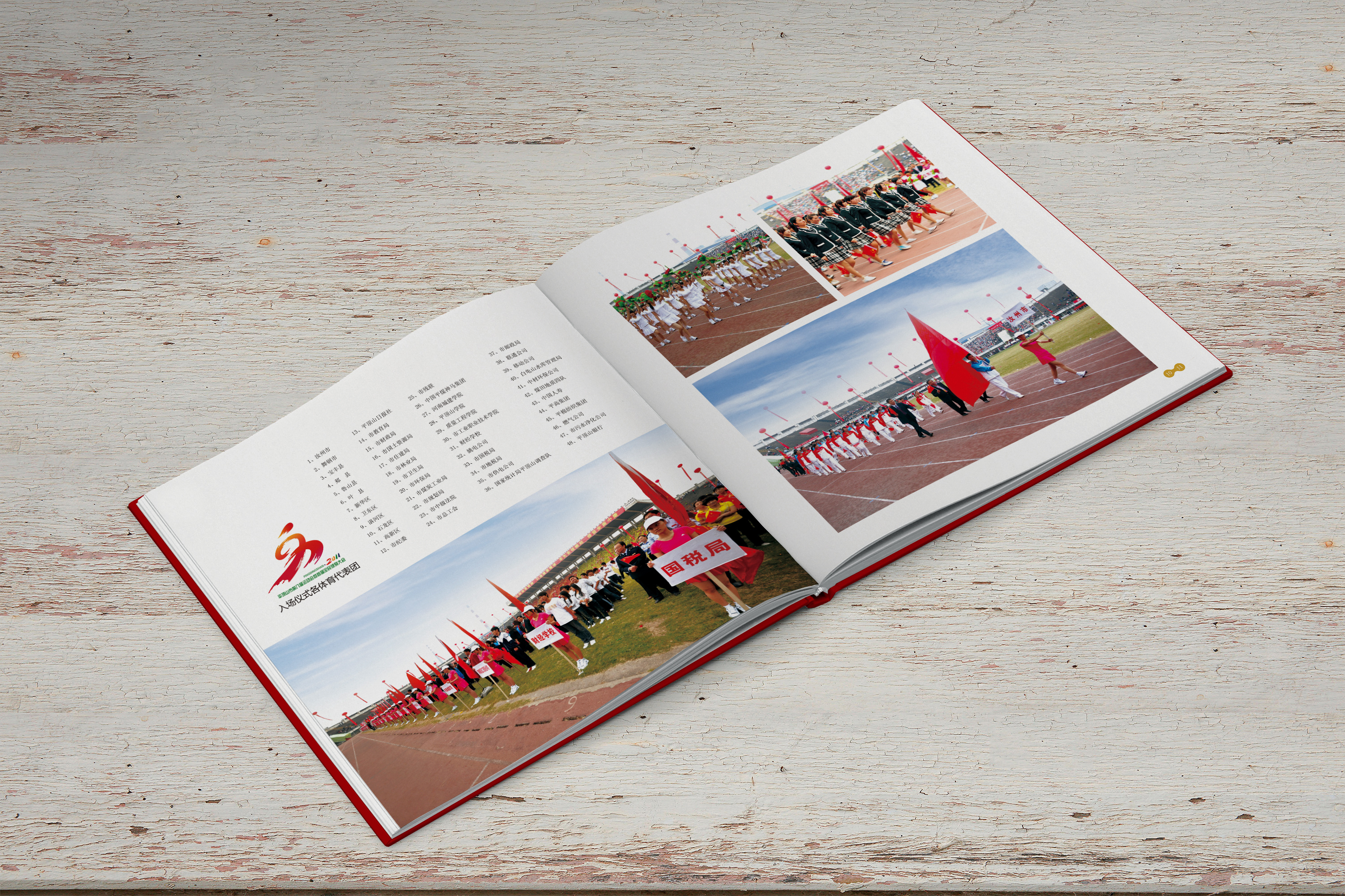 画册设计-平顶山第八届运动会掠影