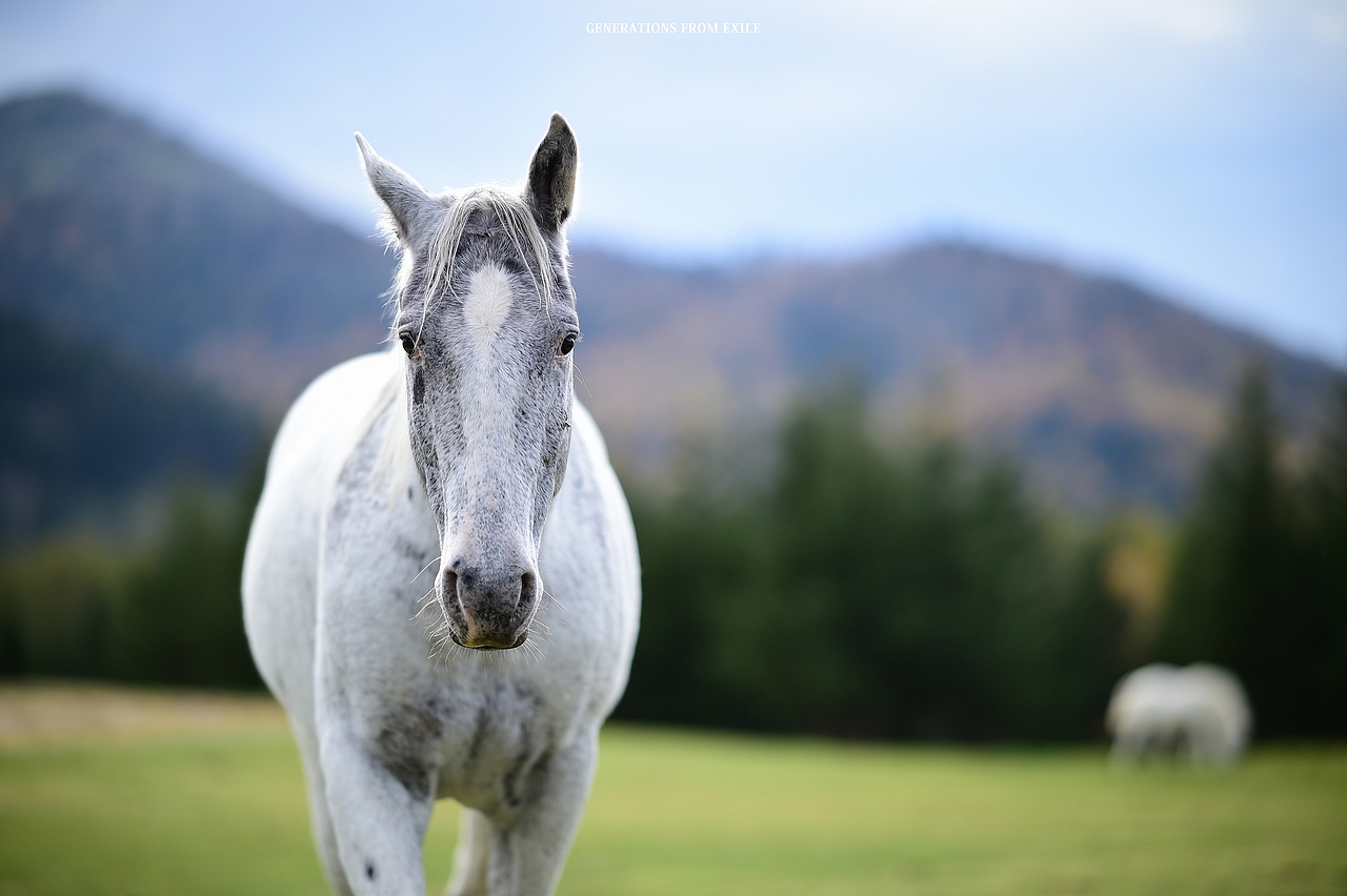 眼中的日本（三）（图ZOTc0NzQ1OTI=） - 风光摄影 - 站酷设计师眼中人原创素材 - 站酷ZCOOL