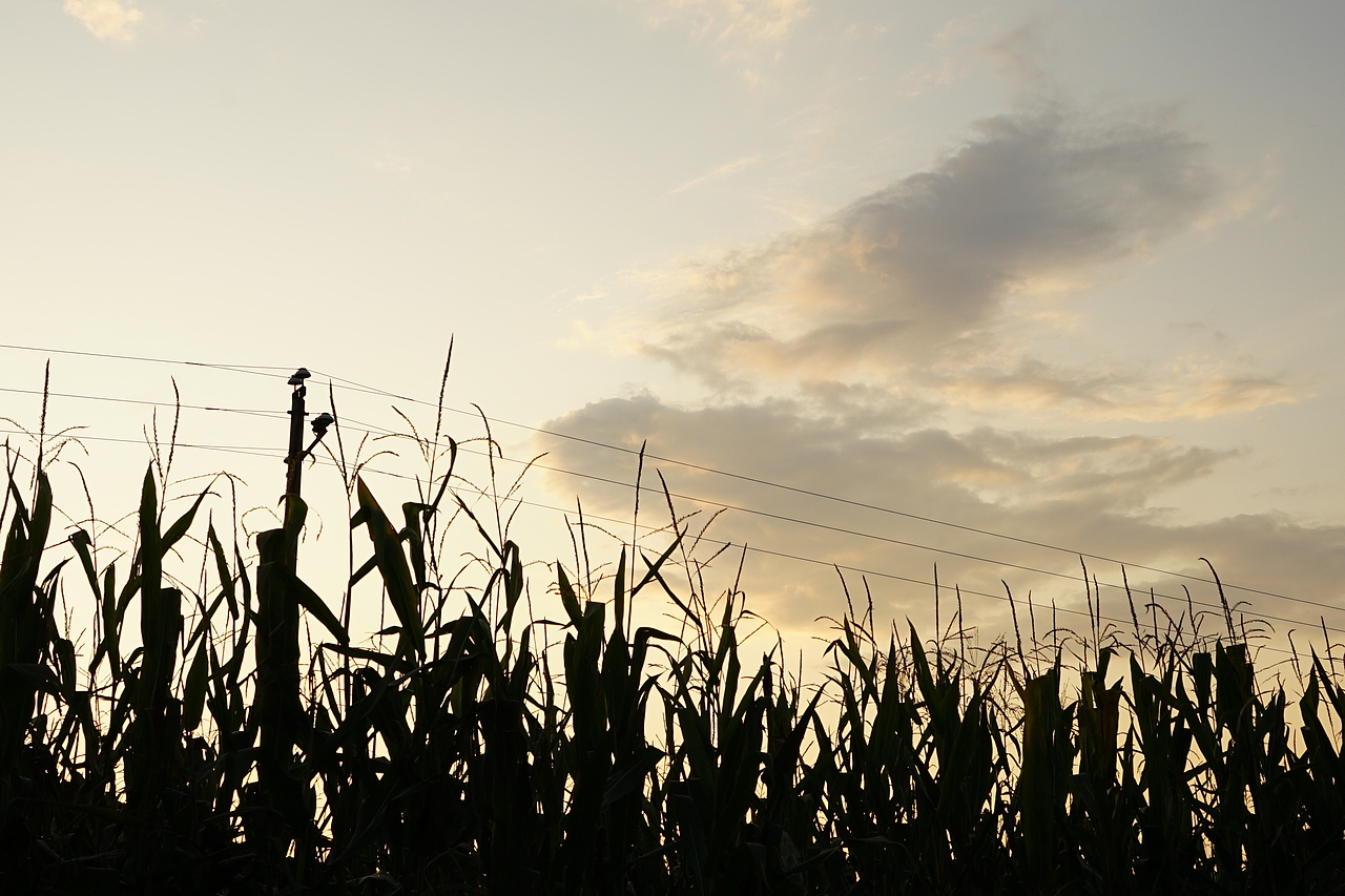 【2019·记录生活】农村老家（图ZMjQxOTUwMjYw） - 风光摄影 - 站酷设计师席振凯原创素材 - 站酷ZCOOL