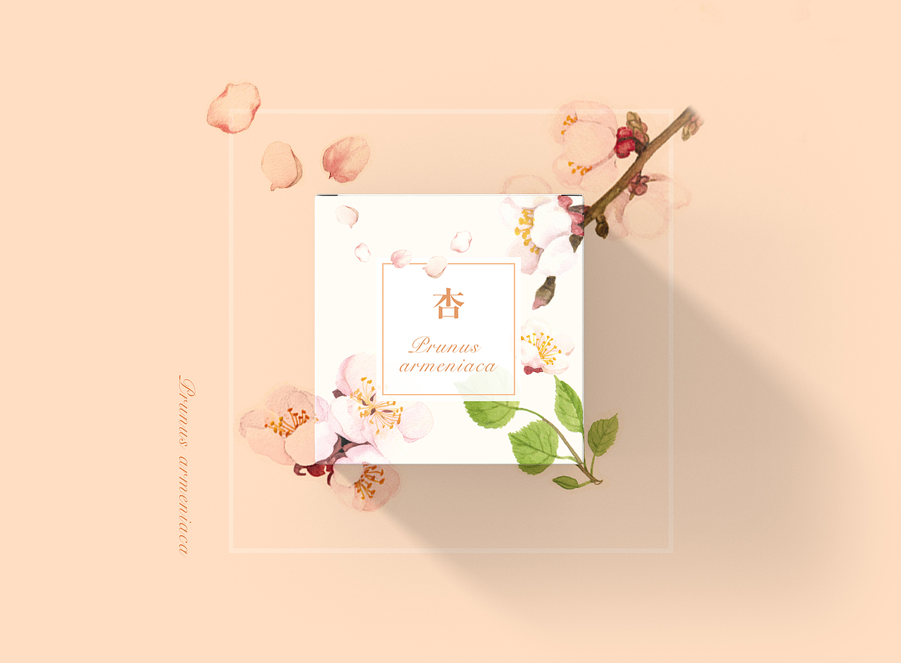 春花花胶带包装设计（图ZODAxOTM3NjQ=） - 包装 - 站酷设计师b_yy原创素材 - 站酷ZCOOL