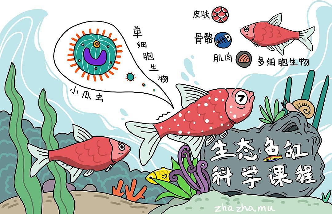 【生态鱼缸 科学课程】小程序配图（图ZMTQxOTc3MzY0） - 商业插画 - 站酷设计师扎扎木009原创素材 - 站酷ZCOOL