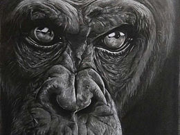 動(dòng)物繪畫合集