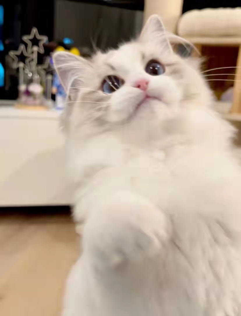 因为我叫代胖胖的个人主页（背景预览） - 主页背景设置 - 站酷设计师因为我叫代胖胖原创素材 - 站酷ZCOOL