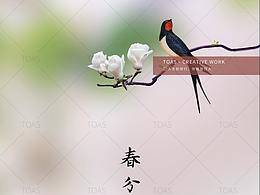 节日