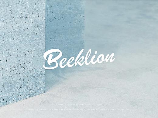 生活美学·BEEKLIAN百洁狮 | 居家清洁-方式