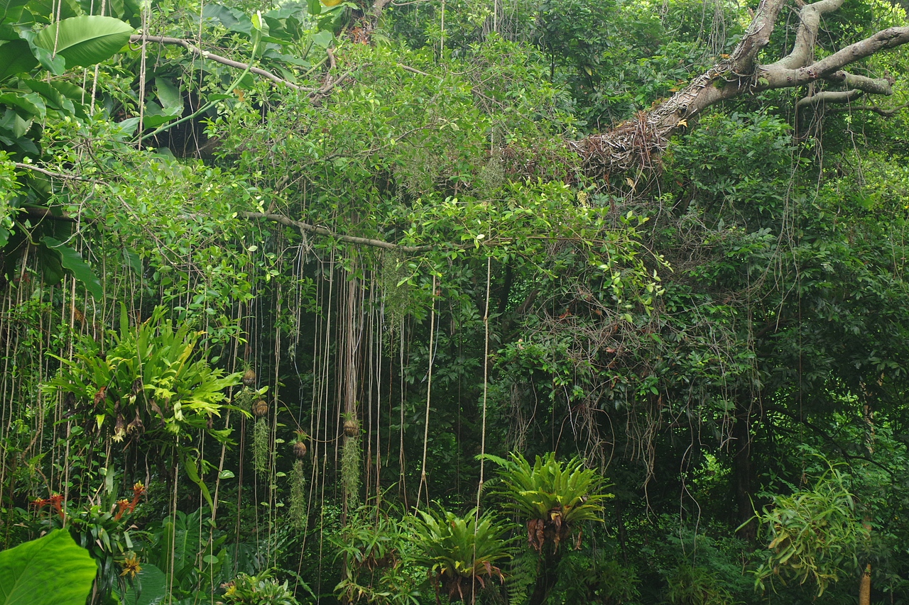 户外摄影--厦门摄影（鼓浪屿、植物园）（图ZNTc4Mzc4MTY=） - 环境/建筑摄影 - 站酷设计师今天能喝咖啡了吗原创素材 - 站酷ZCOOL