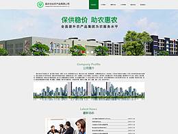网站设计