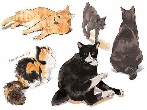 漫画的猫咪怎么画？多款猫咪动态画法参考！