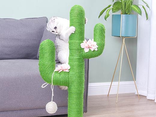 猫爬架与小猫咪