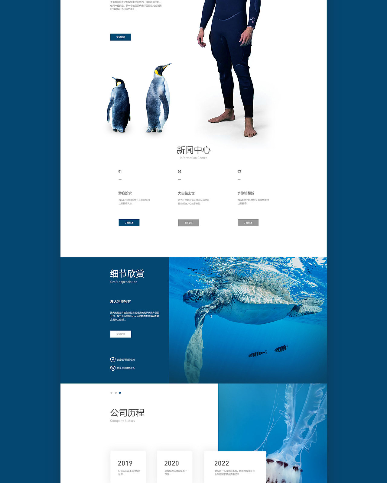 网页合集（图ZMzY5MzUxNzY0） - 企业官网 - 站酷设计师小小碎片原创素材 - 站酷ZCOOL