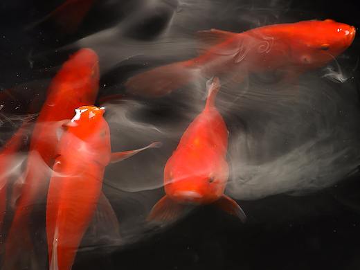 七月，你好（個(gè)人主頁(yè)-ZMzcxNTEzNjQ=） - 產(chǎn)品攝影 - 站酷設(shè)計(jì)師張富商業(yè)攝影設(shè)計(jì)原創(chuàng)素材 - 站酷ZCOOL