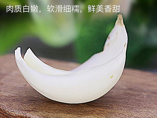 兰州百合详情页（个人主页-ZNDExODM0NTI=） - 宣传物料 - 站酷设计师野生铲屎官原创素材 - 站酷ZCOOL