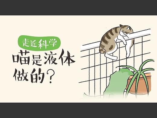 第十一话：女人是水做的？不！猫才是（个人主页-ZMjQ3NjE0OTY=） - 中/长篇漫画 - 站酷设计师霸王花的后宫秘史原创素材 - 站酷ZCOOL