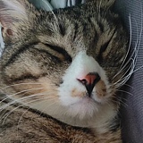 MIA咩呀的头像