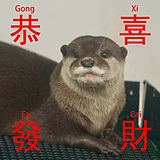 田雨旺的头像