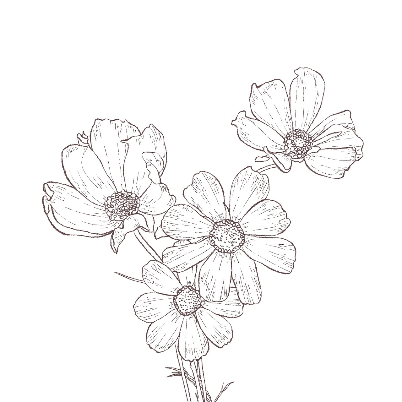 一组水彩花卉练习