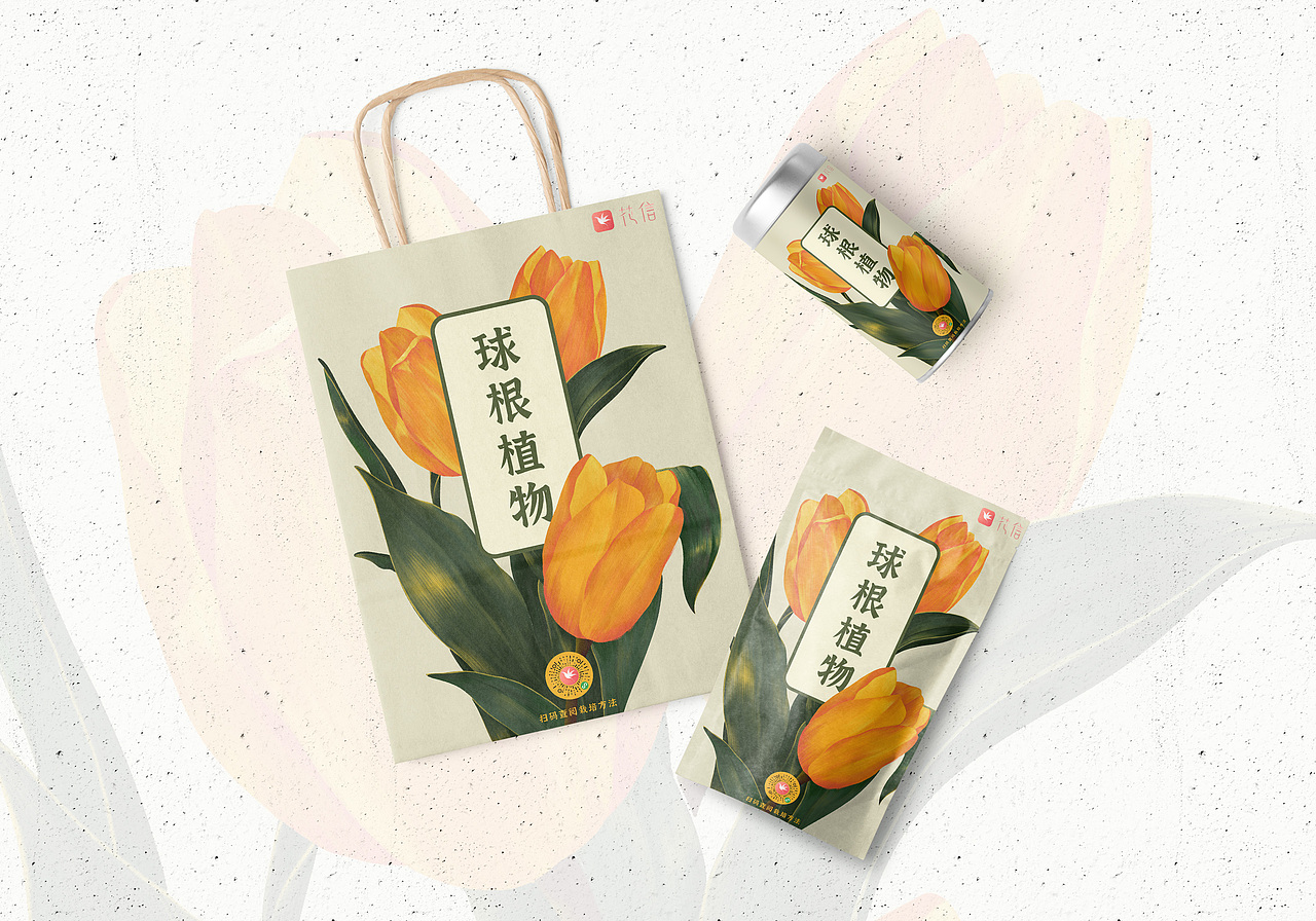 球根植物种子包装设计 |平面|包装|爆肝大菓子_原创作品-站酷zcool