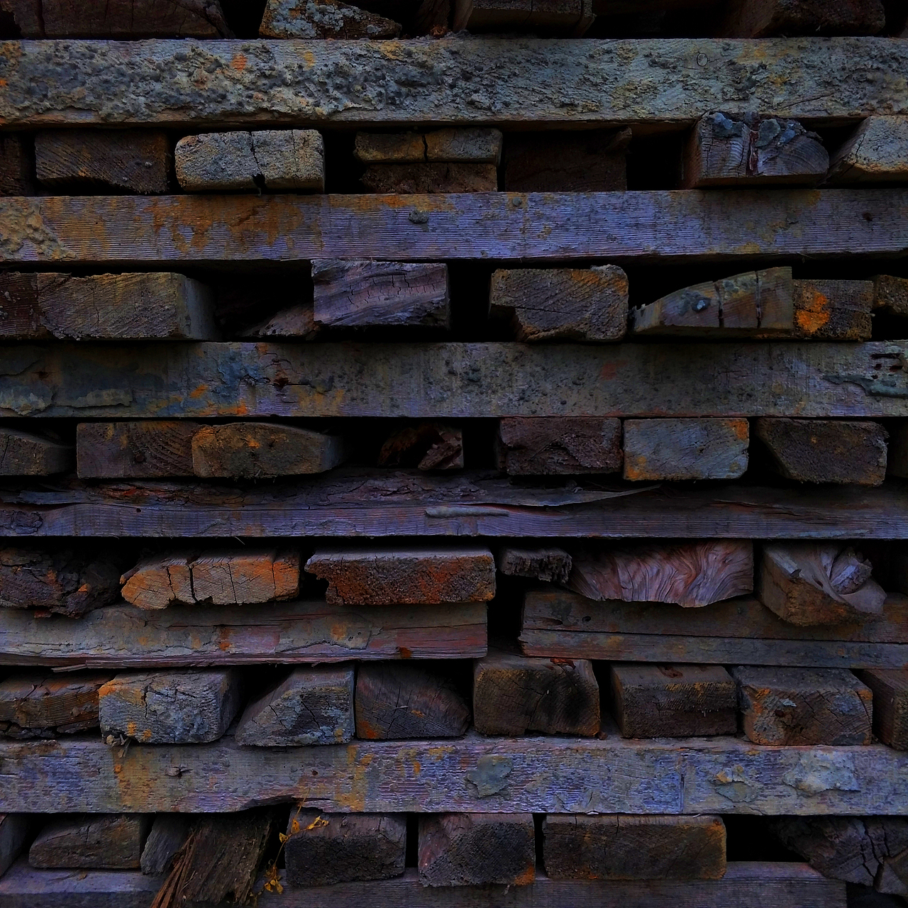 春天来了,夏天就不远了