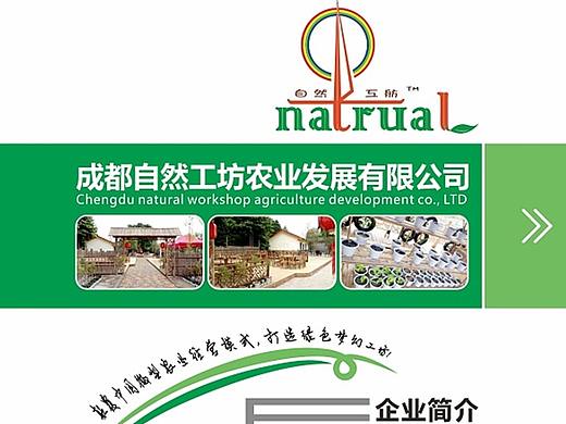 宣传单页（个人主页-ZMjQ1MDgwNjg=） - 宣传物料 - 站酷设计师暮光晨曦原创素材 - 站酷ZCOOL