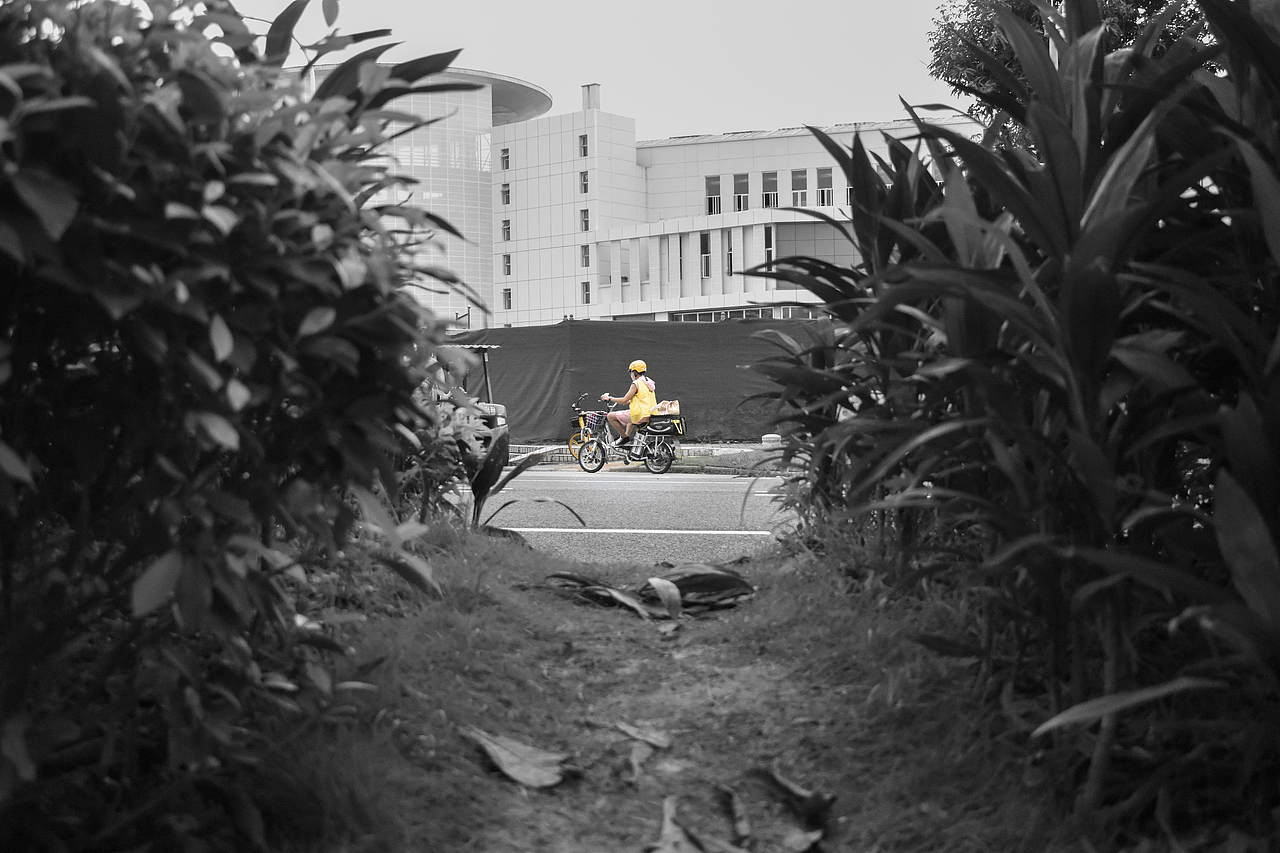 假如,世界没有了色彩