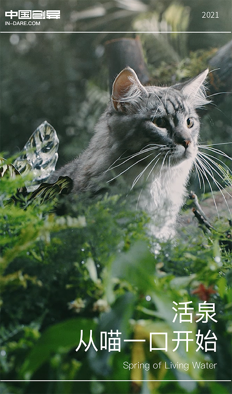 UNIPAL 有陪 x inDare | 猫泉®智能净水器视觉创意