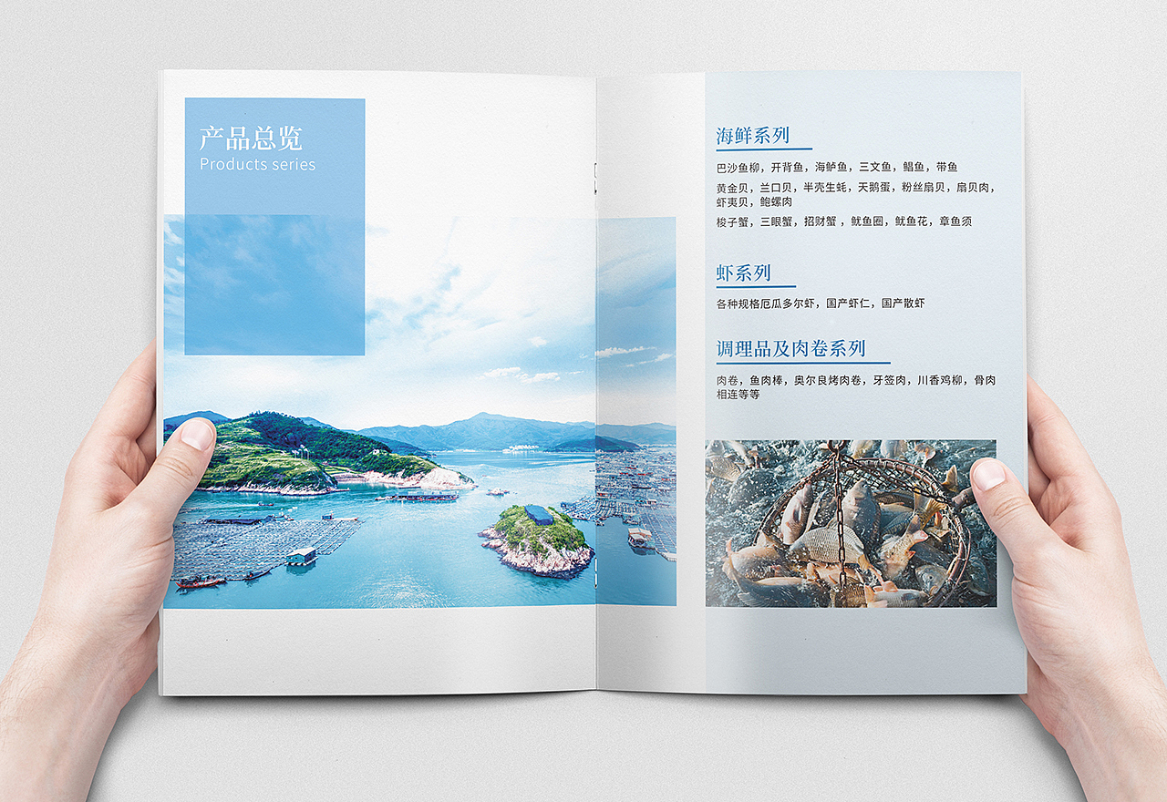 海鲜画册