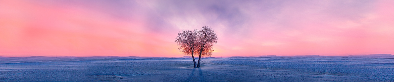 会飞的剑鱼的个人主页（封面预览） - 主页封面设置 - 站酷设计师会飞的剑鱼原创素材 - 站酷ZCOOL