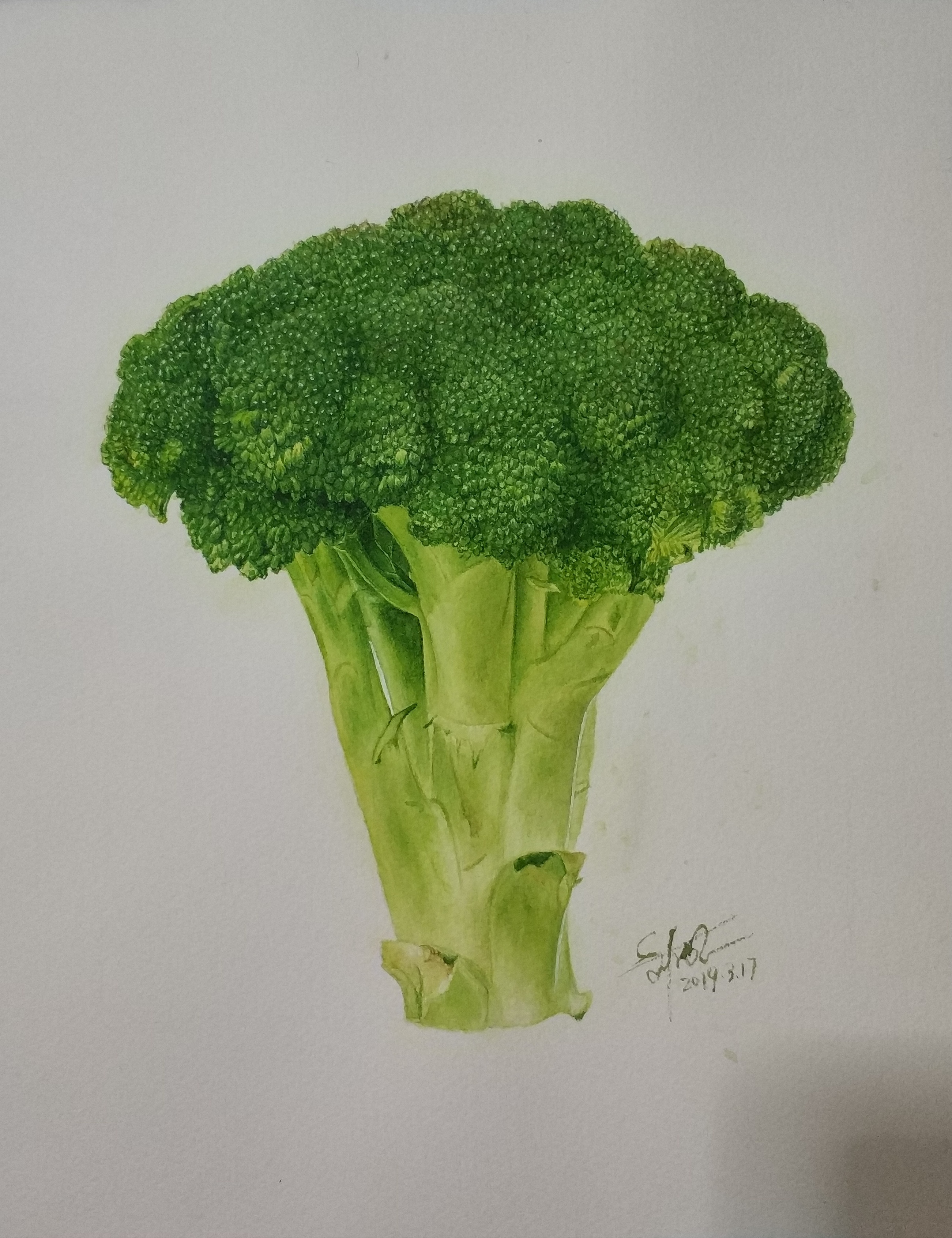 画师ぽん蔬菜图片