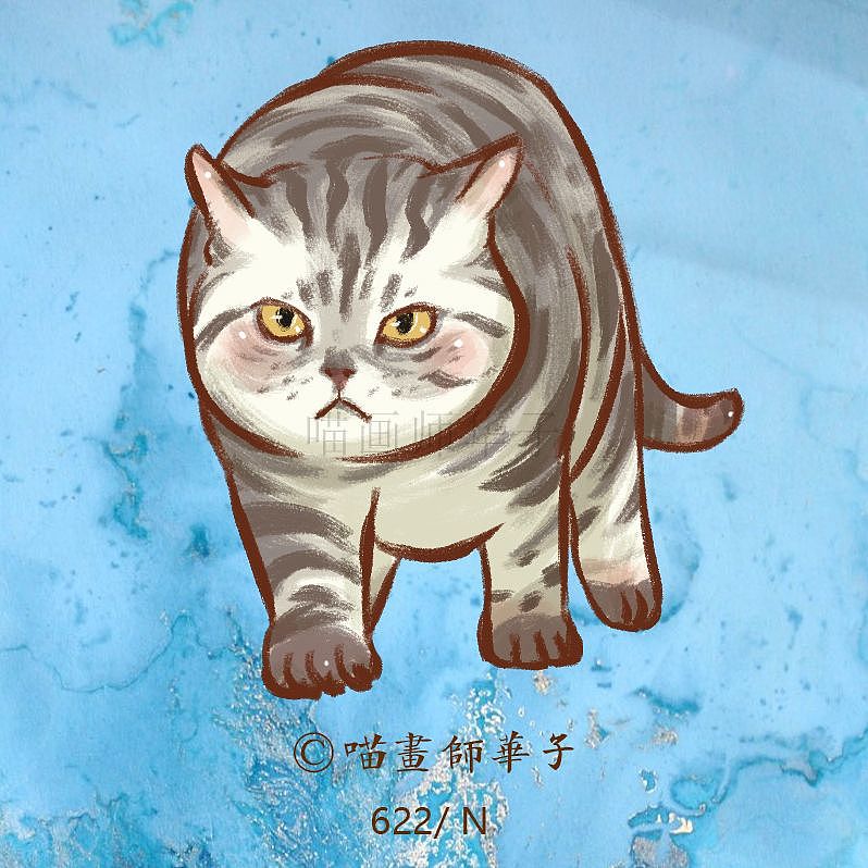 不断更日常画猫的275天（图ZMTk3ODk1Mzky） - 艺术插画 - 站酷设计师喵画师华子原创素材 - 站酷ZCOOL