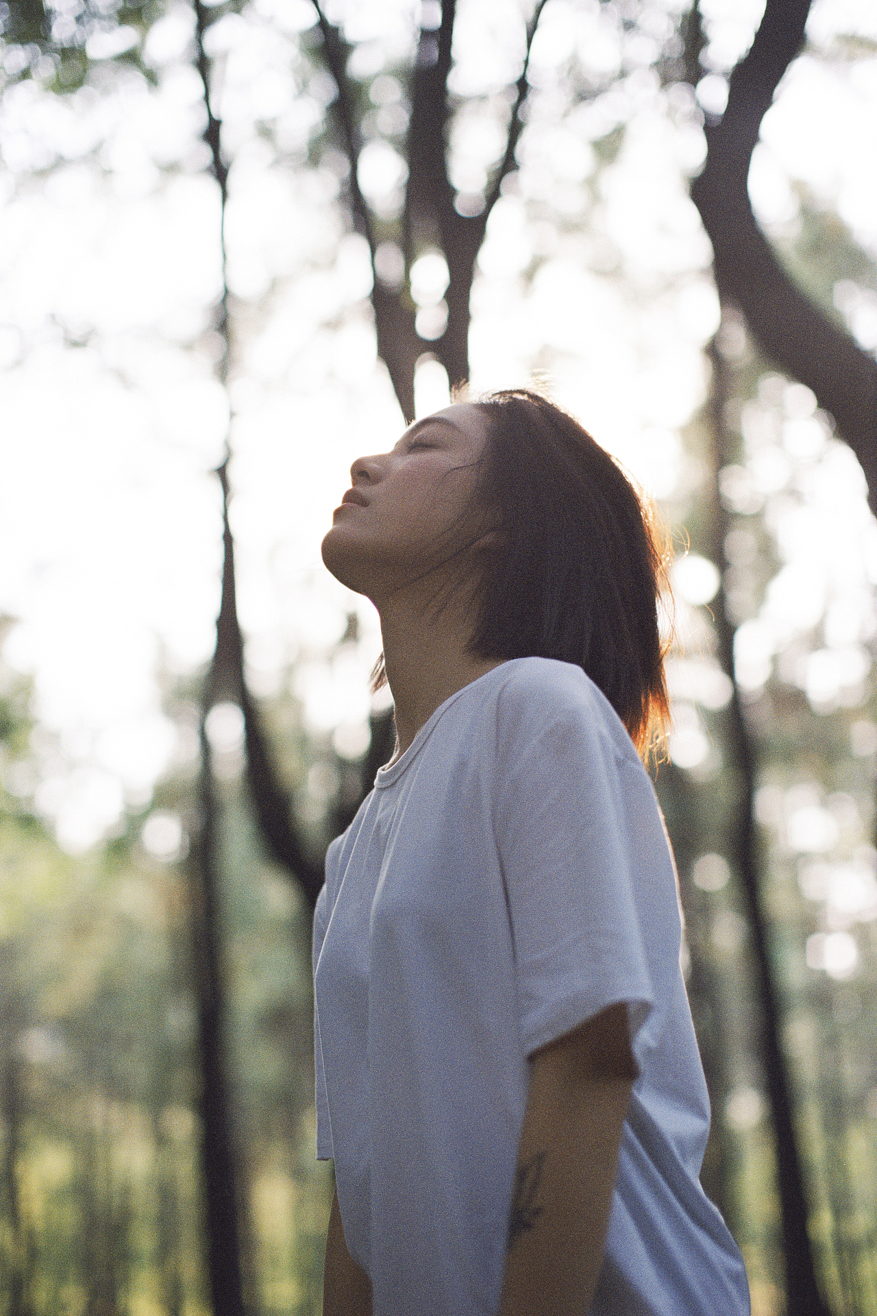 人间四月,花又开好了。