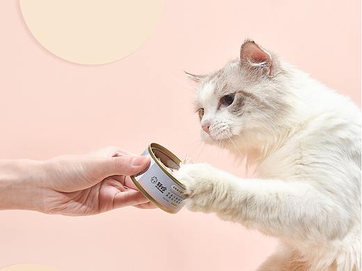 宠物产品摄影/宠物用品之宠物产品视频，再来一组混搭