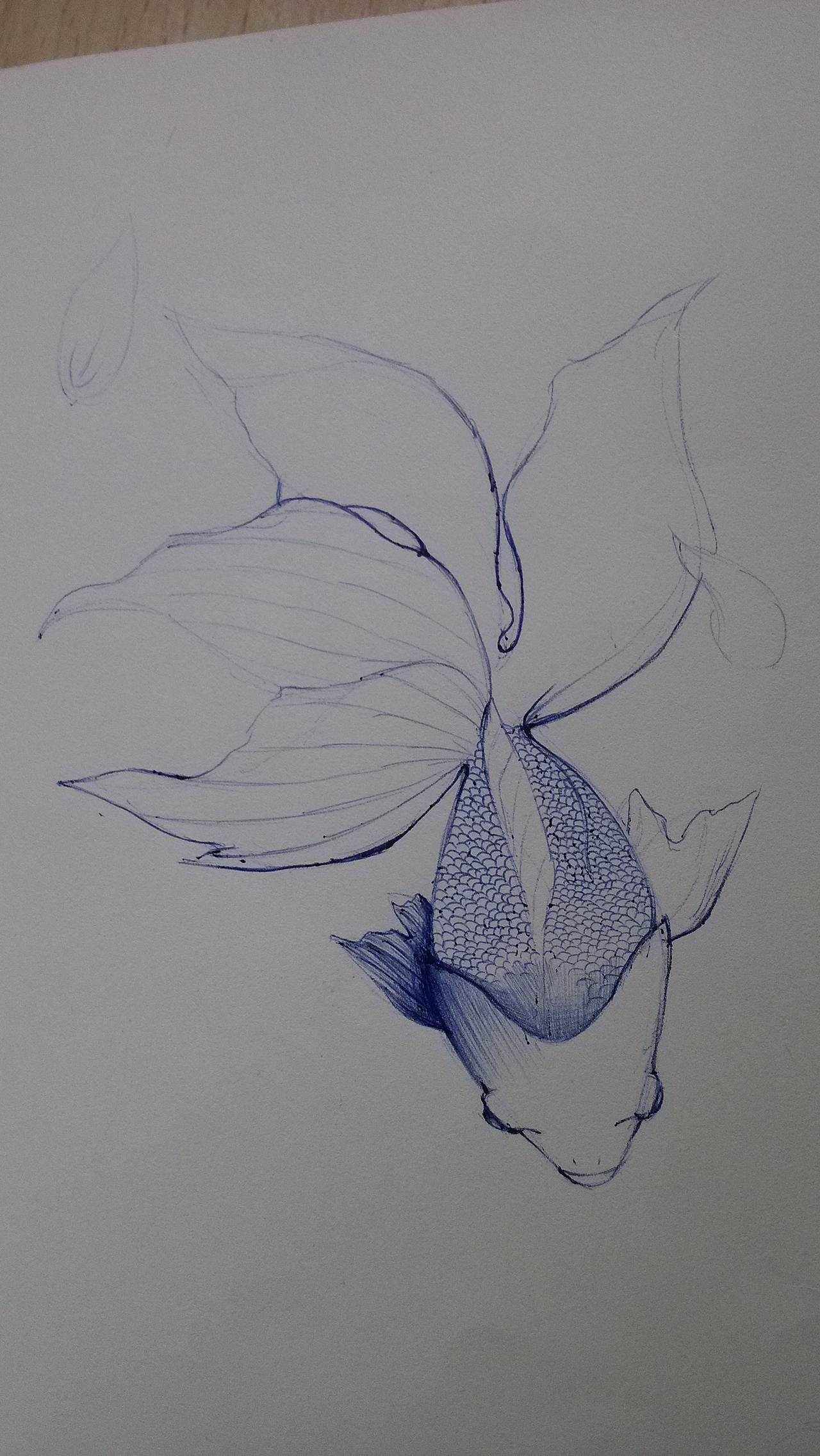 纸上的生活（图ZMjMyMzM3MTY=） - 创作习作 - 站酷设计师唯一xy原创素材 - 站酷ZCOOL