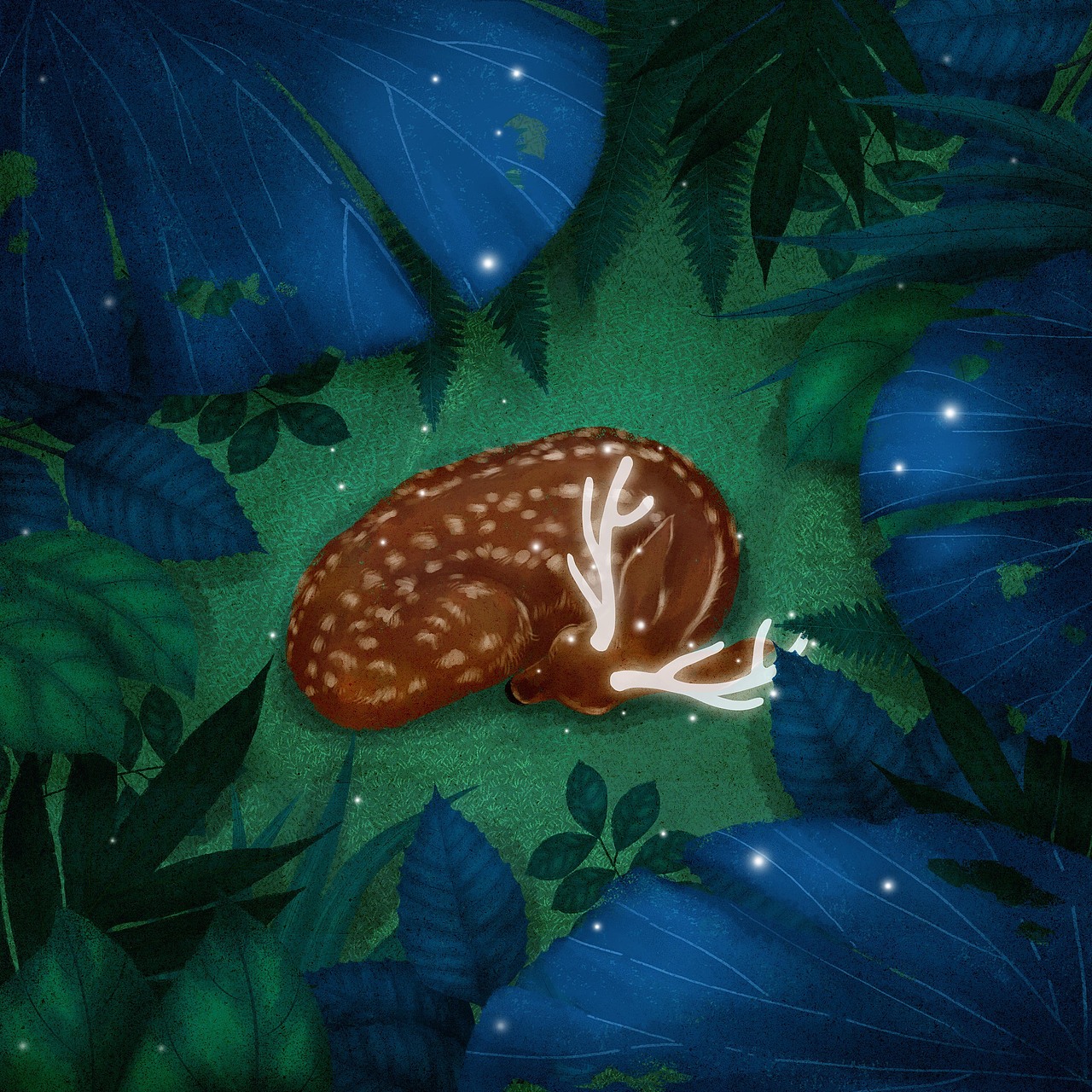 《风吟一夏》-合辑