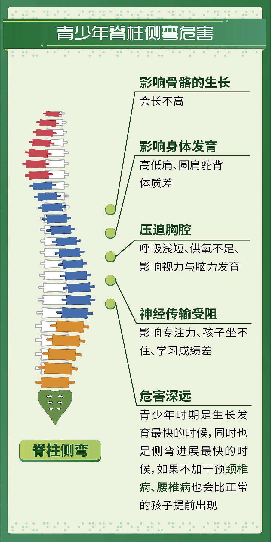 青少年瑜伽长图