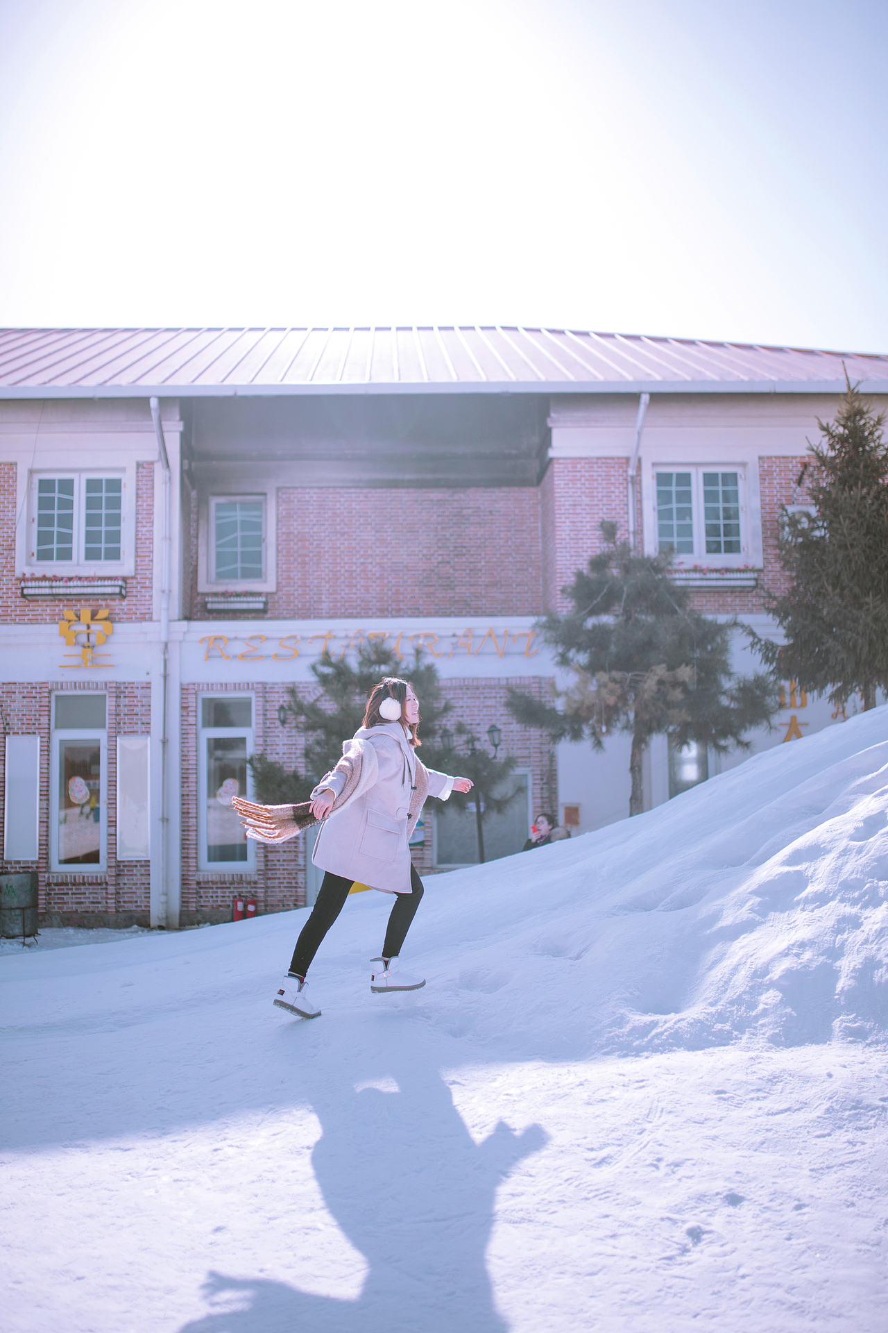 我在零下的阳光里等一场雪