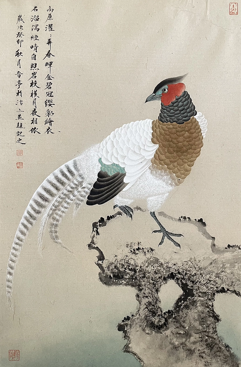 《秀羽写生系列》