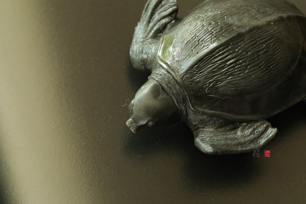 猪鼻龟工艺品图片