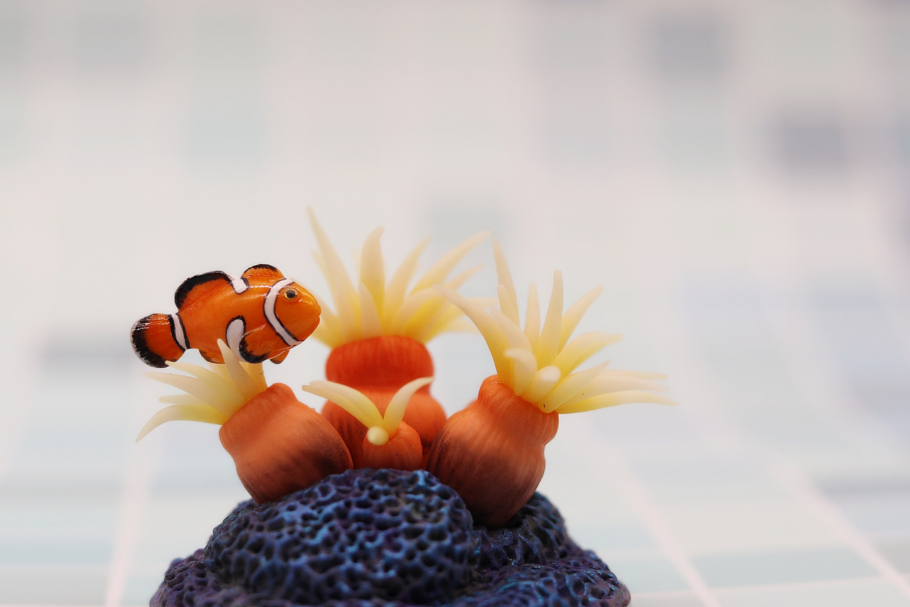 【粘土自制】超迷你的小丑鱼尼莫