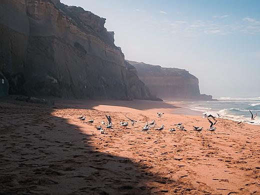 澳大利亚回忆录（墨尔本篇）
