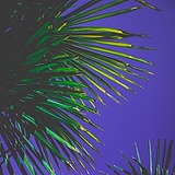 月竹_的头像