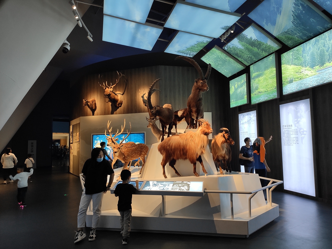 国家海洋博物馆