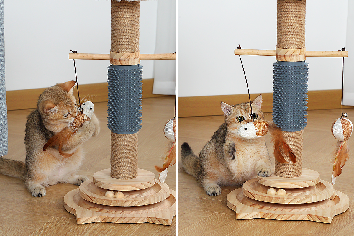 猫猫喜欢玩的玩具