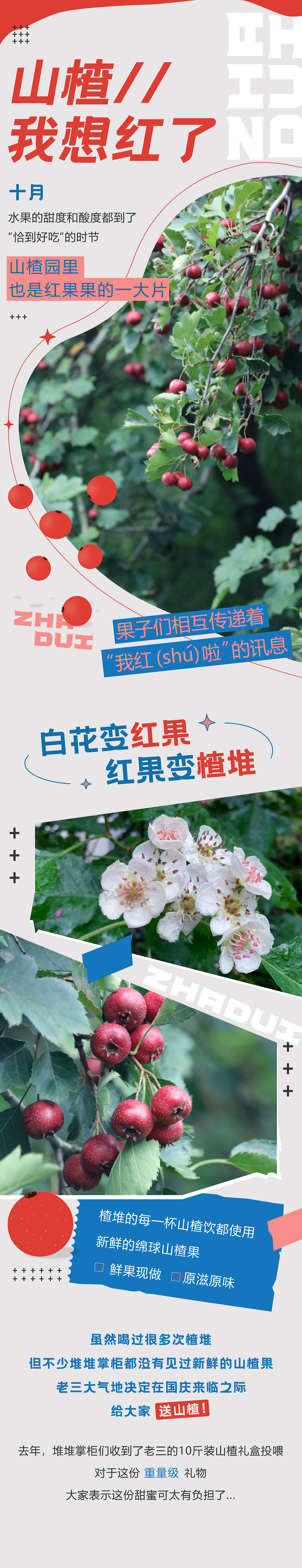 微信推文（图ZMjczMjk4ODEy） - 海报 - 站酷设计师是颖子呀原创素材 - 站酷ZCOOL